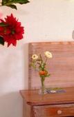 Туры в отель Hotel delle Isole Туры в отель Hotel delle Isole