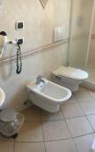 Туры в отель Hotel delle Isole Туры в отель Hotel delle Isole
