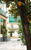 Туры в отель B&B Il Nido Туры в отель B&B Il Nido