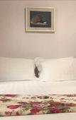 Туры в отель B&B Il Nido Туры в отель B&B Il Nido