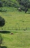 Туры в отель Agriturismo Mama Lina Туры в отель Agriturismo Mama Lina