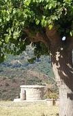 Туры в отель Agriturismo Mama Lina Туры в отель Agriturismo Mama Lina