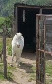 Туры в отель Agriturismo Mama Lina Туры в отель Agriturismo Mama Lina