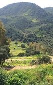 Туры в отель Agriturismo Mama Lina Туры в отель Agriturismo Mama Lina