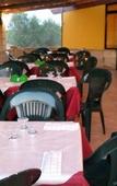 Туры в отель Agriturismo Terra D'Ulivi Туры в отель Agriturismo Terra D'Ulivi