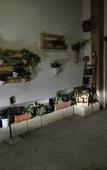 Туры в отель Le Camere Di Aladino Туры в отель Le Camere Di Aladino