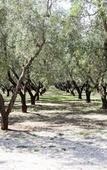 Туры в отель TerreAmare Agriturismo Туры в отель TerreAmare Agriturismo