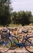 Туры в отель TerreAmare Agriturismo Туры в отель TerreAmare Agriturismo