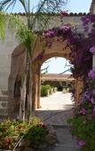 Туры в отель Agriturismo Tenuta Mazzetta Туры в отель Agriturismo Tenuta Mazzetta