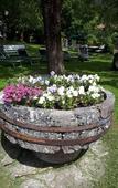 Туры в отель Parc Hotel Florian Туры в отель Parc Hotel Florian