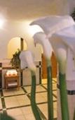 Туры в отель Parc Hotel Florian Туры в отель Parc Hotel Florian
