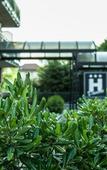 Туры в отель Hotel Davide Туры в отель Hotel Davide