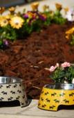 Туры в отель Marelive - CDSHotels Туры в отель Marelive - CDSHotels