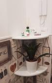 Туры в отель Lele Rooms San Lorenzo Туры в отель Lele Rooms San Lorenzo