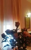 Туры в отель Camere Primavera B&B Туры в отель Camere Primavera B&B