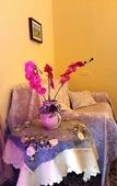 Туры в отель Camere Primavera B&B Туры в отель Camere Primavera B&B