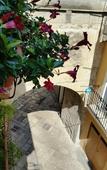 Туры в отель Camere Primavera B&B Туры в отель Camere Primavera B&B