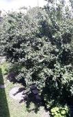 Туры в отель Bed & Breakfast Al Laghetto Туры в отель Bed & Breakfast Al Laghetto