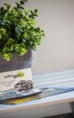 Туры в отель B&B Pepito Туры в отель B&B Pepito