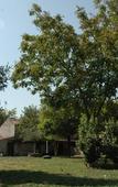 Туры в отель Agriturismo Le Clementine Туры в отель Agriturismo Le Clementine