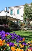 Туры в отель Agriturismo Le Clementine Туры в отель Agriturismo Le Clementine