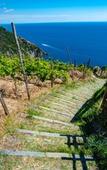 Туры в отель Pietra Di Mare Guest House Туры в отель Pietra Di Mare Guest House