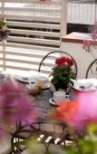 Туры в отель Donna Rosa Accommodation Туры в отель Donna Rosa Accommodation