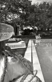 Туры в отель La Barchessa di Villa Pisani Туры в отель La Barchessa di Villa Pisani