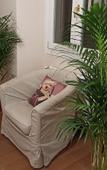 Туры в отель Paradise Rooms Туры в отель Paradise Rooms