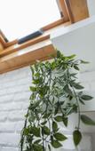 Туры в отель B&B Palazzo Storico Di Nicola Туры в отель B&B Palazzo Storico Di Nicola
