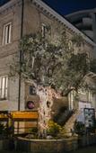 Туры в отель B&B Palazzo Storico Di Nicola Туры в отель B&B Palazzo Storico Di Nicola