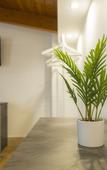 Туры в отель B&B Palazzo Storico Di Nicola Туры в отель B&B Palazzo Storico Di Nicola