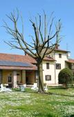 Туры в отель Agriturismo La Morosina Туры в отель Agriturismo La Morosina