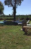 Туры в отель Agriturismo La Morosina Туры в отель Agriturismo La Morosina