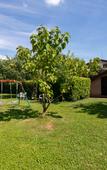 Туры в отель B&B Family First Туры в отель B&B Family First
