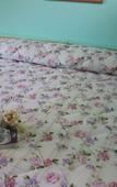 Туры в отель Il Sottosopra B&B Туры в отель Il Sottosopra B&B