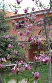 Туры в отель Il Sottosopra B&B Туры в отель Il Sottosopra B&B