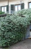 Туры в отель La Curandera Туры в отель La Curandera