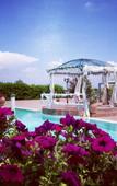 Туры в отель Agriturismo Il Borgo Туры в отель Agriturismo Il Borgo