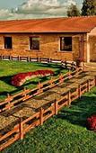 Туры в отель Agriturismo Il Borgo Туры в отель Agriturismo Il Borgo