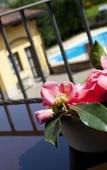 Туры в отель Villa Soleil Туры в отель Villa Soleil