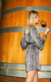Туры в отель Castrum Wine Relais Туры в отель Castrum Wine Relais