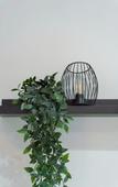 Туры в отель Hostel Partenope Туры в отель Hostel Partenope