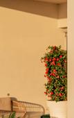 Туры в отель Bellevue Sardinia Resort, Affiliated by Melia Туры в отель Bellevue Sardinia Resort, Affiliated by Melia