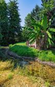 Туры в отель Villa Vitti's - Verona est Туры в отель Villa Vitti's - Verona est