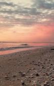 Туры в отель Meet Hostel Cervia Туры в отель Meet Hostel Cervia