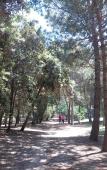 Туры в отель Meet Hostel Cervia Туры в отель Meet Hostel Cervia