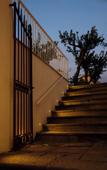 Туры в отель Vesuvius Palace Туры в отель Vesuvius Palace
