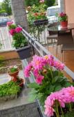 Туры в отель Villa Rosina Туры в отель Villa Rosina