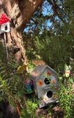 Туры в отель La Casa nel Bosco Туры в отель La Casa nel Bosco